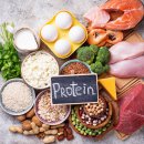 엠디디피티 이미지