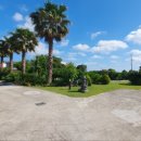 덕수리-2 이미지