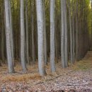 인한농장 이미지