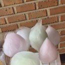 포천글램핑 &amp; 불멍 즐기기 좋은 라온글램핑오토캠핑장 소개