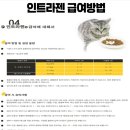 인트라젠 이미지