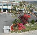 관촌면사무소 이미지