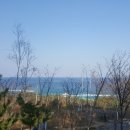 애니카랜드 삼척점 이미지