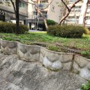 군북면체육관 | 대전 파크골프장 재미있는 코스들 방문후기 이용시간, 예약, 위치 등