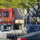 4270 | 수성구청역 텐동 맛집 도모젠, 범어동 텐동 맛집 아이랑 저녁 후기