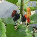 오디가개 이미지