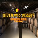 벨기에 람빅 브뤼셀 여행, 가장 의외였던 곳 | 람빅 비어 양조장 Cantillon 후기