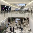 옆집 <b>이사</b><b>오더</b>니 대박났어요