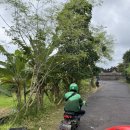 태평주유소 | 25’ Bali, Indonesia(2)