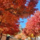 수주팔봉펜션 | 충주 펜션, 충주 가족여행에 딱 맞는 공간 '하늘호수펜션'