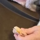 가나유통 | [D+330] 육아일기 &amp; 후기 이유식: 편도염 극복과 카페 데이트! 유통기한 임박 치즈 소진 대작전🧀