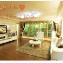 금성백조 예미지 이미지