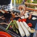 쁘띠 힐링 카라반 이미지