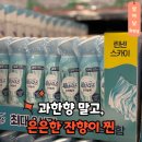 맑은물세탁소 | 과한향은 싫은데... 은은하게 잔향 오래 남는 코스트코 탈취제, 이 브랜드 말해뭐해