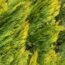 광일농원 이미지