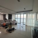 팔레드시즈