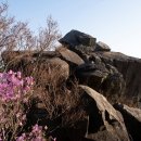 대금산진달래길(등산) 이미지