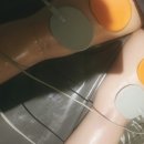 화성드림파크 메인리틀동 2층 | 대구 다이어트 화사한 누워서하는 체중관리 하체 받고온 후기