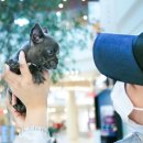 몽몽이하우스 인천연수점 이미지