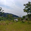 마비정농장 이미지