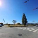 교동찰보리밥 이미지