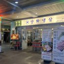 양화냉삼