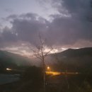 자연같이 팜 이미지