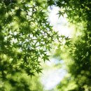 강동-길동-2 이미지