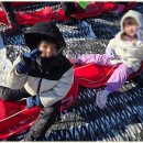 경희태권도장 이미지