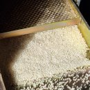 신정정미소 이미지