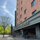 문스타닷컴 | 하남스타필드 숙소추천 호텔알로하 내돈내산