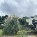 하가리집 이미지