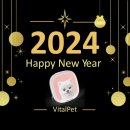 맘편하개 이미지