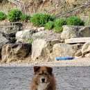 솔비치2민박 이미지