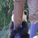 뽀시래기 이미지