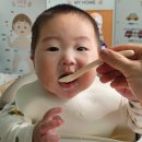 초기 이유식 지은 밥으로 쌀미음 만들기 5배죽 만드는 법