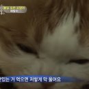 쏘럭