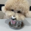 뚜두카페