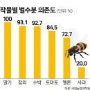 꿀벌 80억마리 집단 실종 '부메랑'... 식탁 물가 위협한다(한국일보) / ﻿[빛viit명상] ﻿[SW정광호의 행복칼럼]꿀벌실종사건 이미지