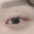 진흥로1 | 연신내 속눈썹펌 <베네뷰티> 약한 속눈썹도 탱글하게! 손상된 속눈썹도 펌 가능 짧은 속눈썹펌 후기