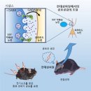공감 이미지