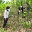 김옥수농장 이미지