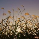 서천주차장 이미지