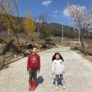 큰골농원 이미지