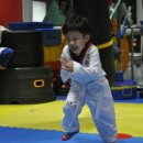 MTA 하늘태권도 이미지