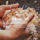 송림인삼