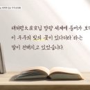 우주알