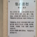 윙스골프존 이미지