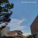 신광노인전문요양원 네이버블로그
