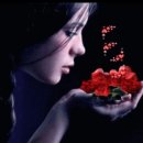 예쁜여우 이미지